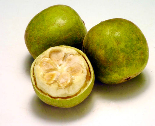 Green Monk Fruit (Dried)- Siraitia grosvenorii